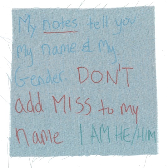 Blue and red text on a blue square. The text reads: My notes tell you my name & My Gender. DON'T add MISS to my name I AM HE/HIM