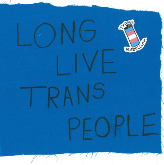 "LONG LIVE TRANS PEOPLE" written on a blue square with a "Trans Rebellion" lighter sticker.